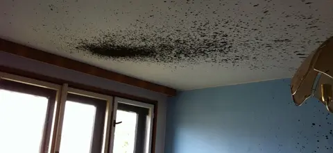 Příprava nemovitosti na zimu ušetří desítky tisíc
