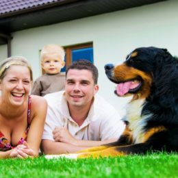 Proč kupovat zadlužené nemovitosti