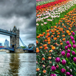 Je lepší anglická nebo holandská