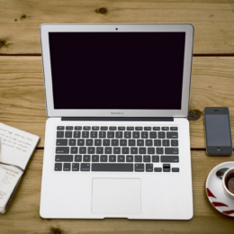 Jak se chovat při elektronické dražbě