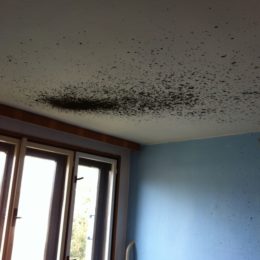 Příprava nemovitosti na zimu ušetří desítky tisíc