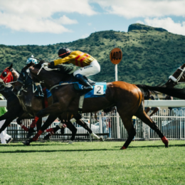 Vsadíte si, když budete znát výsledek?