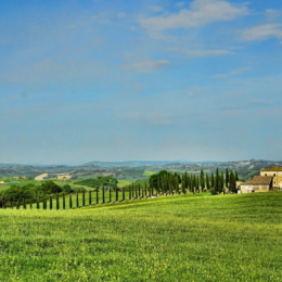 Jak vyjmout pozemek ze zemědělského půdního fondu