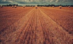 LPIS – pomocník při investování do zemědělské půdy