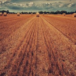 LPIS – pomocník při investování do zemědělské půdy