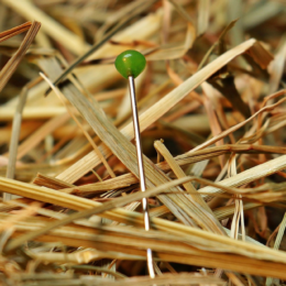 Překvapení: Kam zmizela většina insolvencí?