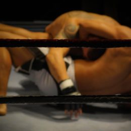 Kdo vyhraje, když se potká dražba, insolvence a předkupní právo?