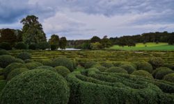 Nespočítaná směrná hodnota u pozemku zvýšila daň z nabytí nemovitosti klientovi o 200%