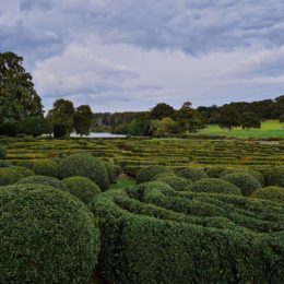 Nespočítaná směrná hodnota u pozemku zvýšila daň z nabytí nemovitosti klientovi o 200%
