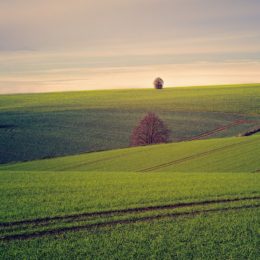 Jak vám může katastr nemovitostí zablokovat prodej nemovitosti