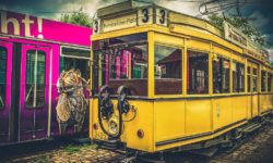 Jsou vaše produkty a služby na dnešní dobu dostatečně kvalitní?