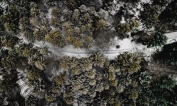 Video: Fotografie prodávají – jak lépe fotit a natáčet nemovitosti