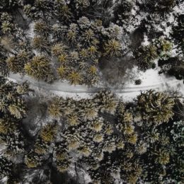 Video: Fotografie prodávají – jak lépe fotit a natáčet nemovitosti