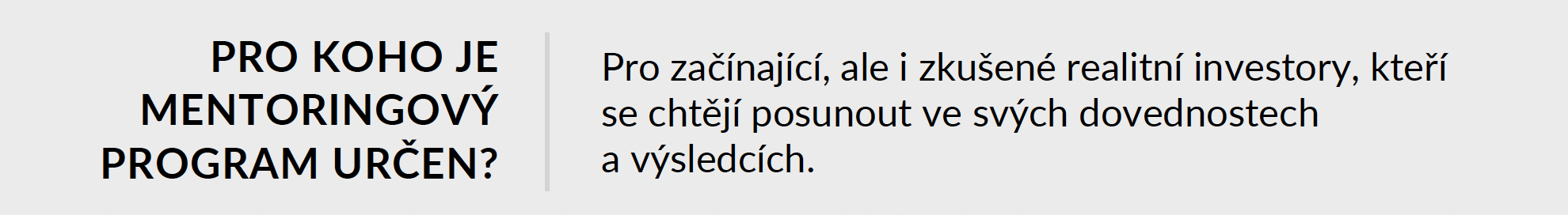 Pro koho je Strategicky mentoring